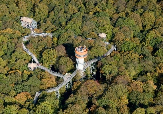First walkways above trees soon to be set up in Georgia geotv.ge
